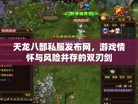 天龙八部私服发布网，游戏情怀与风险并存的双刃剑