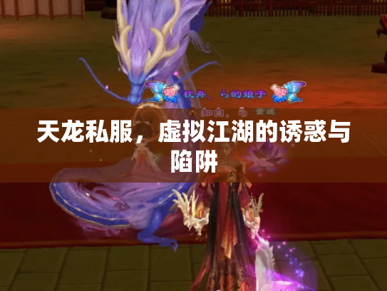 天龙私服，虚拟江湖的诱惑与陷阱