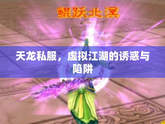 天龙私服，虚拟江湖的诱惑与陷阱