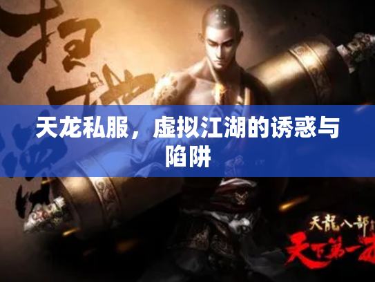 天龙私服，虚拟江湖的诱惑与陷阱