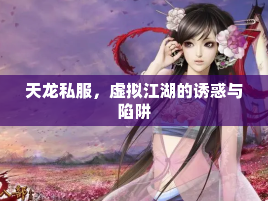 天龙私服，虚拟江湖的诱惑与陷阱