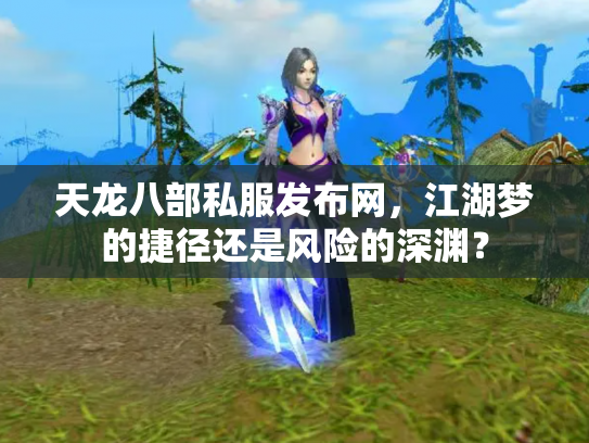 天龙八部私服发布网，江湖梦的捷径还是风险的深渊？