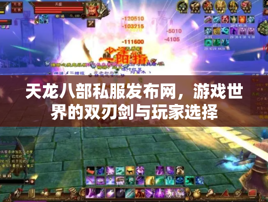 天龙八部私服发布网，游戏世界的双刃剑与玩家选择