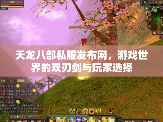 天龙八部私服发布网，游戏世界的双刃剑与玩家选择