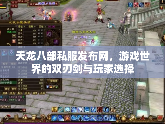 天龙八部私服发布网，游戏世界的双刃剑与玩家选择
