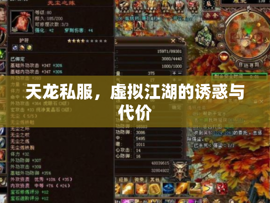 天龙私服，虚拟江湖的诱惑与代价