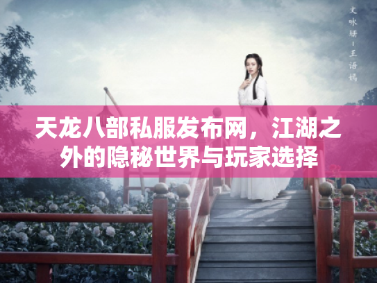 天龙八部私服发布网，江湖之外的隐秘世界与玩家选择