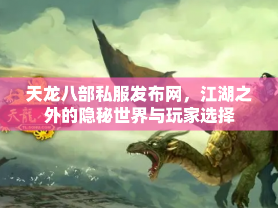 天龙八部私服发布网，江湖之外的隐秘世界与玩家选择