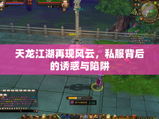 天龙江湖再现风云，私服背后的诱惑与陷阱