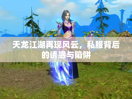 天龙江湖再现风云，私服背后的诱惑与陷阱