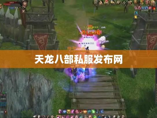 天龙八部私服发布网