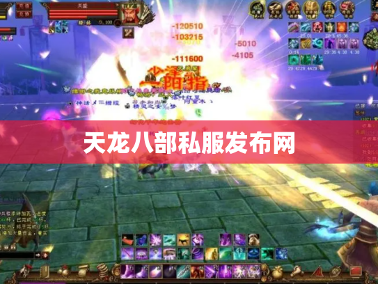 天龙八部私服发布网
