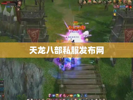 天龙八部私服发布网