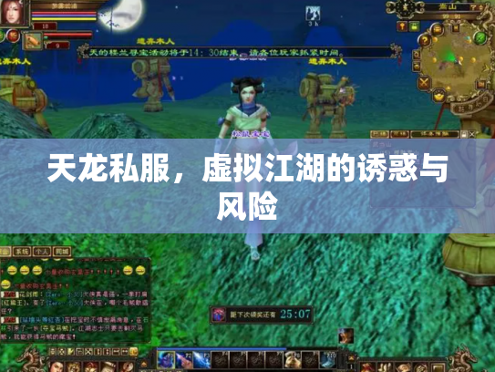 天龙私服，虚拟江湖的诱惑与风险