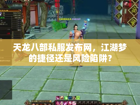 天龙八部私服发布网，江湖梦的捷径还是风险陷阱？