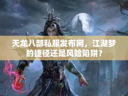 天龙八部私服发布网，江湖梦的捷径还是风险陷阱？