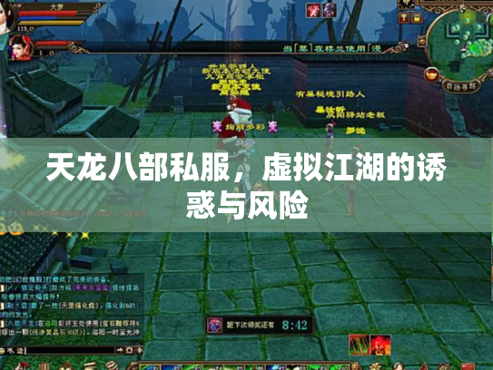 天龙八部私服，虚拟江湖的诱惑与风险