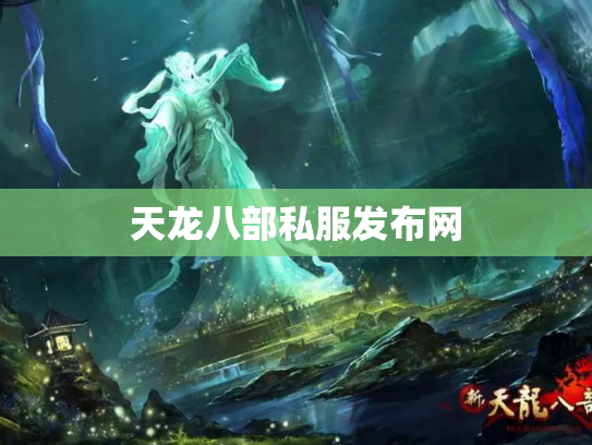 天龙八部私服发布网