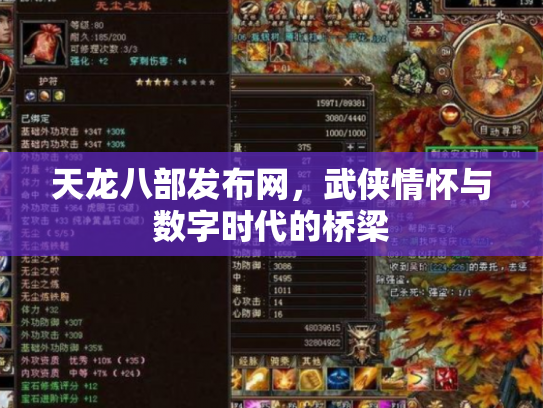 天龙八部发布网，武侠情怀与数字时代的桥梁