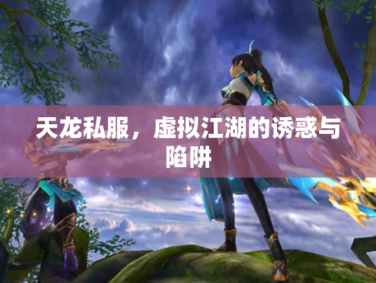 天龙私服，虚拟江湖的诱惑与陷阱