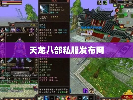 天龙八部私服发布网