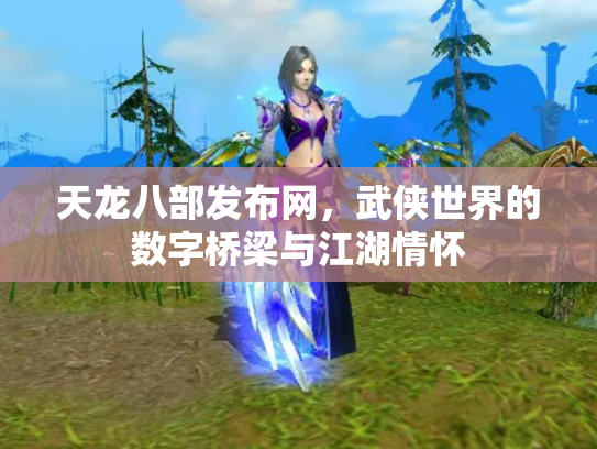 天龙八部发布网，武侠世界的数字桥梁与江湖情怀