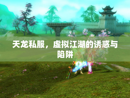 天龙私服，虚拟江湖的诱惑与陷阱