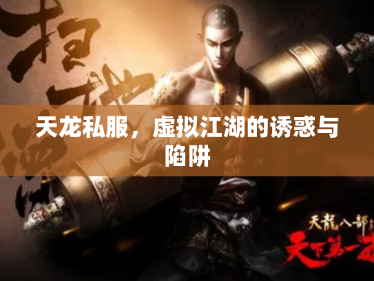天龙私服，虚拟江湖的诱惑与陷阱