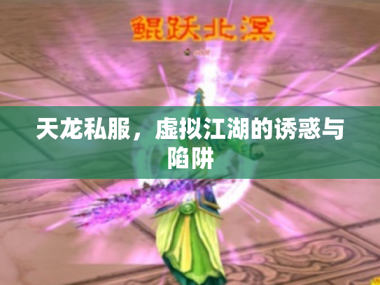 天龙私服，虚拟江湖的诱惑与陷阱
