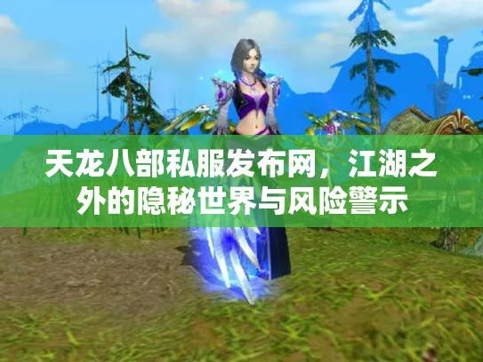 天龙八部私服发布网，江湖之外的隐秘世界与风险警示