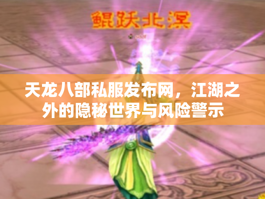 天龙八部私服发布网，江湖之外的隐秘世界与风险警示