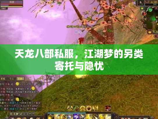 天龙八部私服，江湖梦的另类寄托与隐忧
