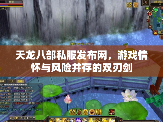 天龙八部私服发布网，游戏情怀与风险并存的双刃剑