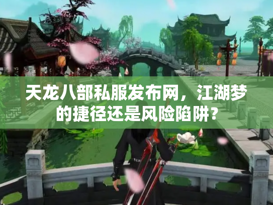 天龙八部私服发布网，江湖梦的捷径还是风险陷阱？
