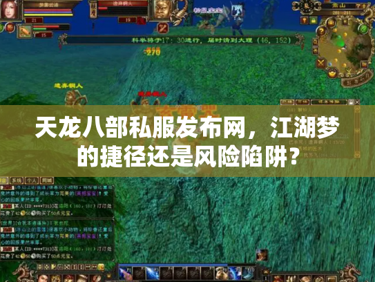 天龙八部私服发布网，江湖梦的捷径还是风险陷阱？