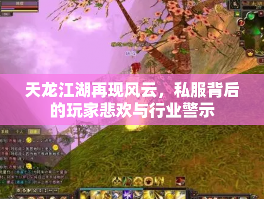 天龙江湖再现风云，私服背后的玩家悲欢与行业警示