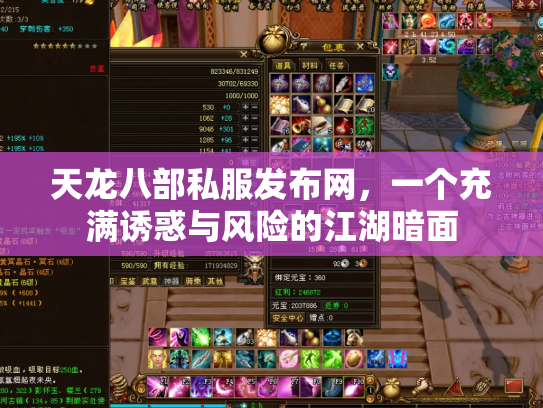 天龙八部私服发布网，一个充满诱惑与风险的江湖暗面