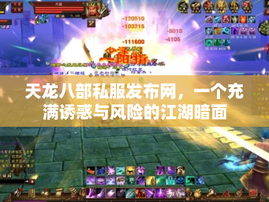 天龙八部私服发布网，一个充满诱惑与风险的江湖暗面