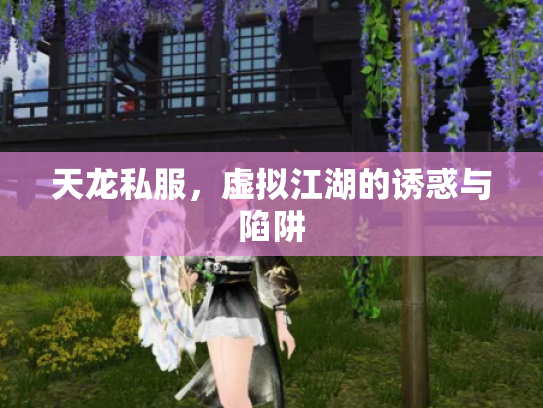 天龙私服，虚拟江湖的诱惑与陷阱