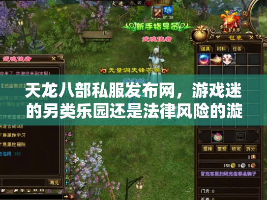 天龙八部私服发布网，游戏迷的另类乐园还是法律风险的漩涡？