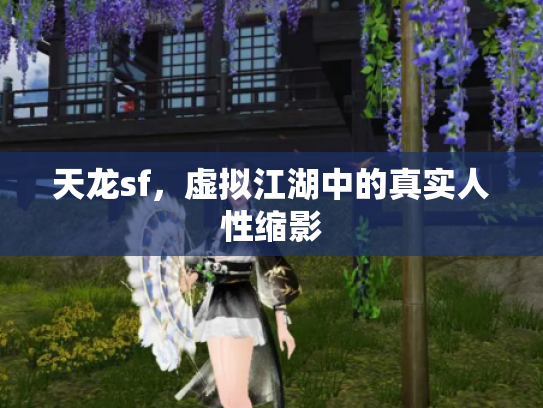 天龙sf，虚拟江湖中的真实人性缩影