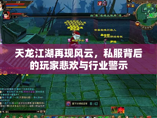 天龙江湖再现风云，私服背后的玩家悲欢与行业警示