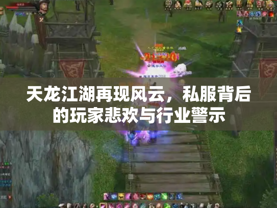 天龙江湖再现风云，私服背后的玩家悲欢与行业警示