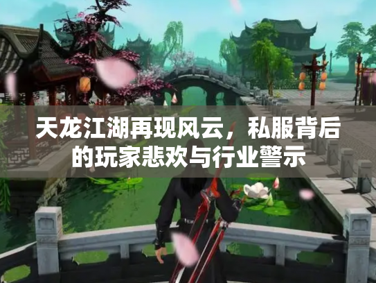 天龙江湖再现风云，私服背后的玩家悲欢与行业警示