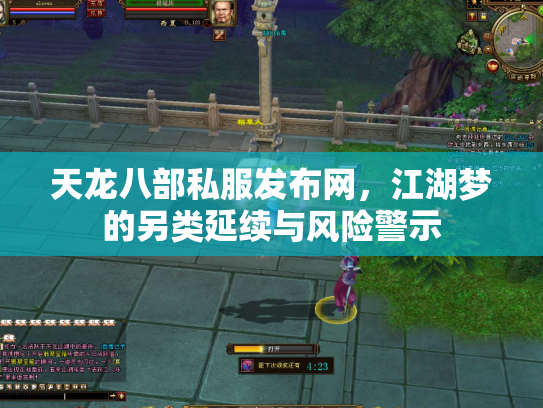 天龙八部私服发布网，江湖梦的另类延续与风险警示