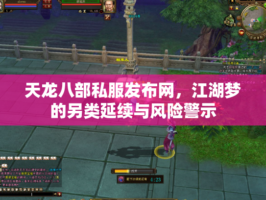 天龙八部私服发布网，江湖梦的另类延续与风险警示