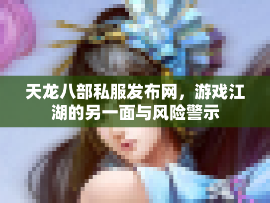 天龙八部私服发布网，游戏江湖的另一面与风险警示