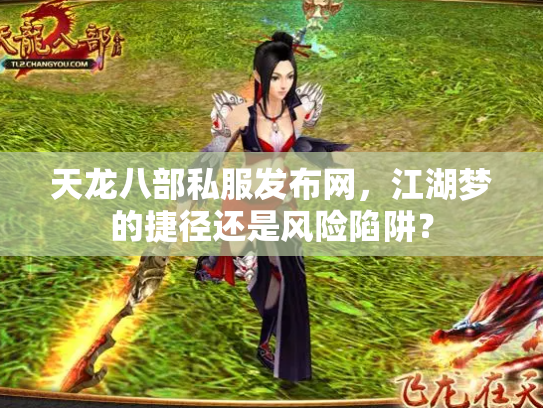天龙八部私服发布网，江湖梦的捷径还是风险陷阱？