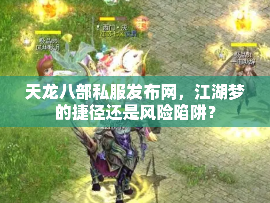 天龙八部私服发布网，江湖梦的捷径还是风险陷阱？