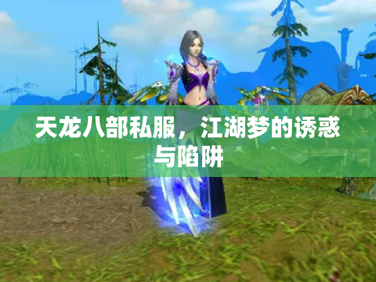 天龙八部私服，江湖梦的诱惑与陷阱